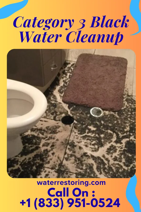 Category 3 Black Water Cleanup in Tulare, SD