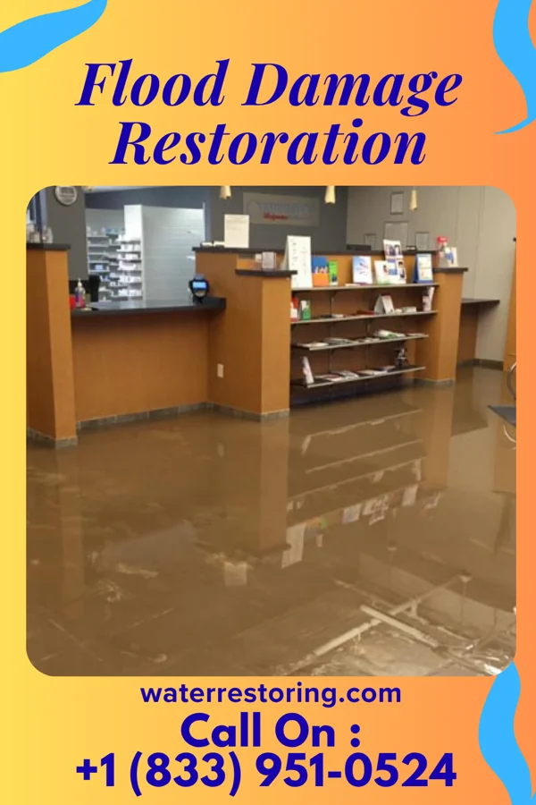 Flood Damage Restoration in Tulare, SD