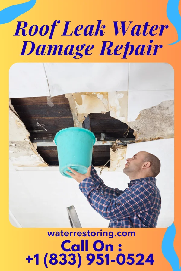 Roof Leak Water Damage Repair in Tulare, SD