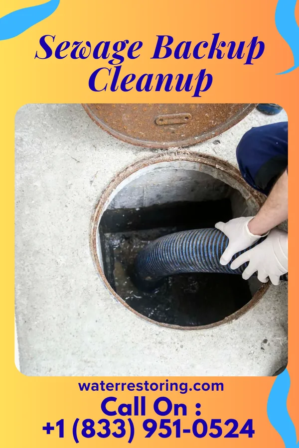Sewage Backup Cleanup in Tulare, SD