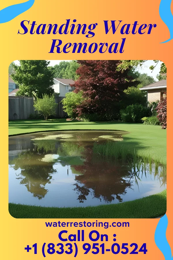 Standing Water Removal in Tulare, SD
